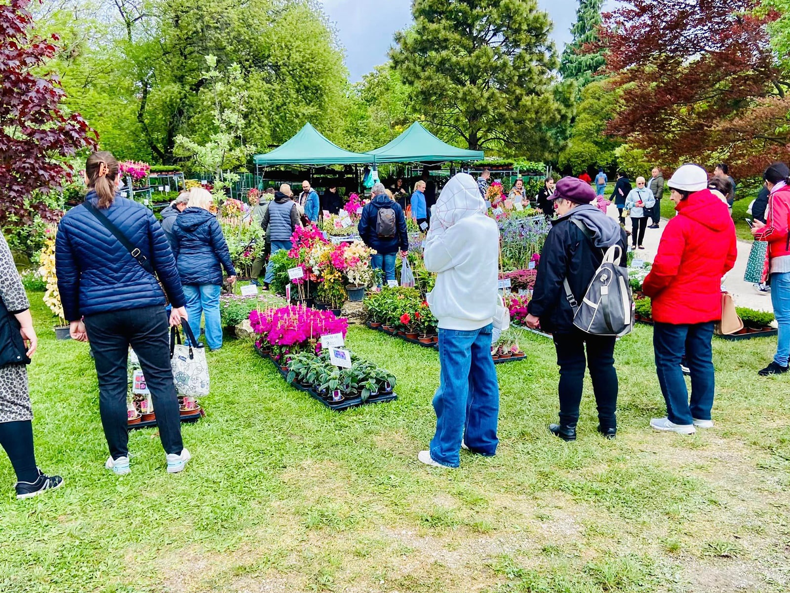 dísznövény vásár